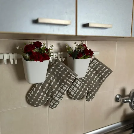 Apartment Basic De Lux Subotica